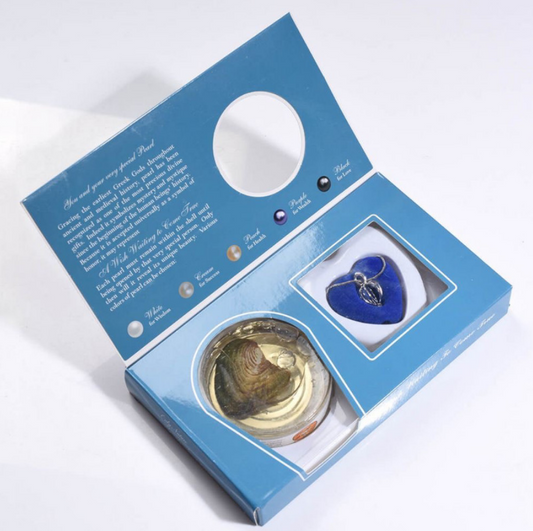 Yours Truly™ Wish Pearl Kit – One Shell, Infinite Dreams
